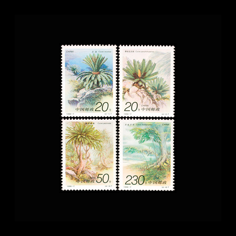 Vintage 1996 Chinese Cycas Pla - Vintage Collectible Stamps 评论和价格