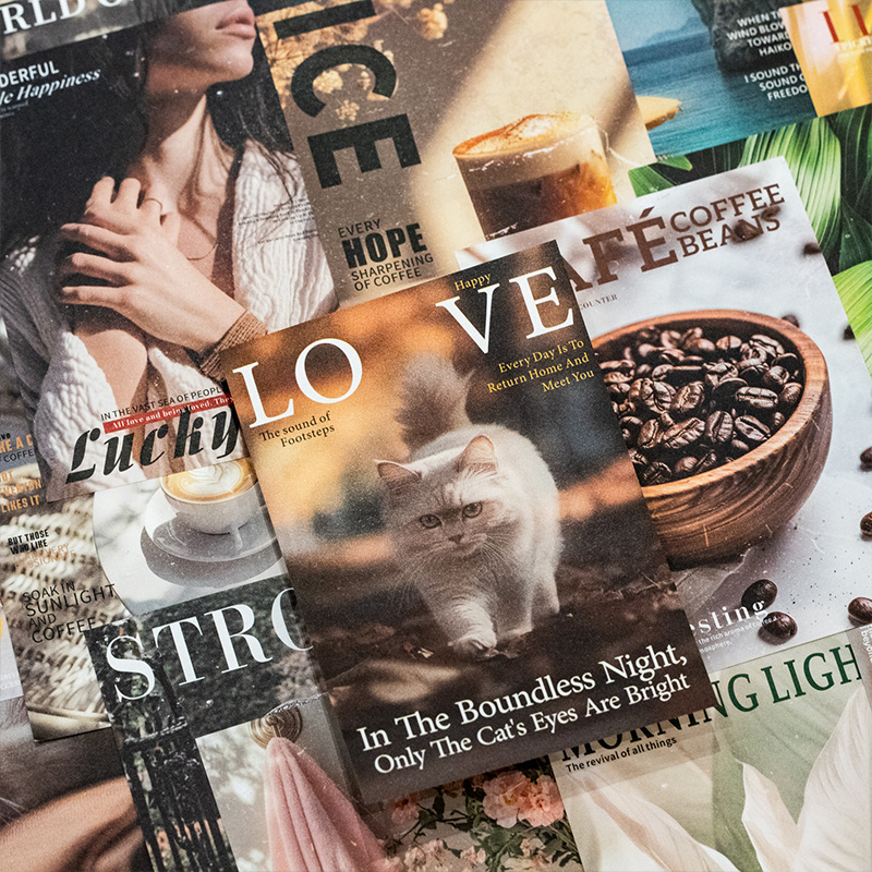 Mr.Paper 30Pcs/Bag Vintage The - Vintage Collectible Magazines 评论和价格