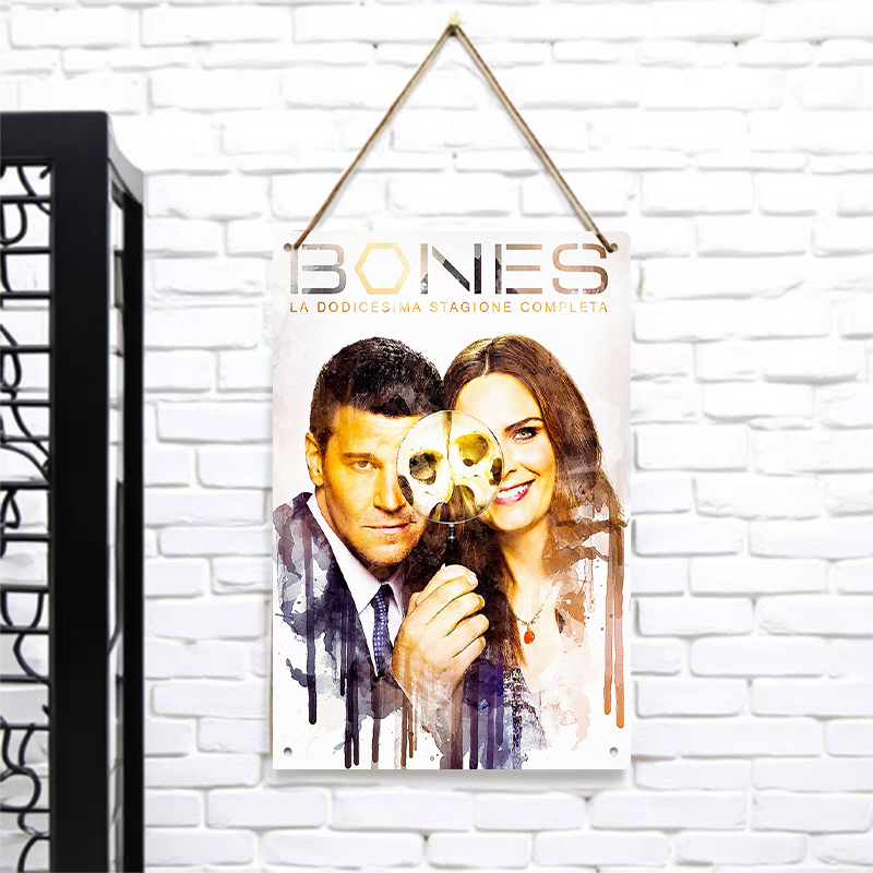 Bones Season 12 Poster Metal T - Vintage Collectible Tins 评论和价格